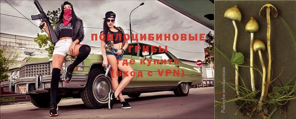 ALPHA PVP Покровск