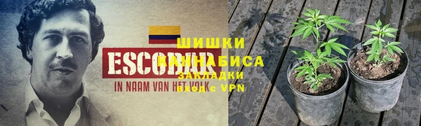 ALPHA PVP Покровск